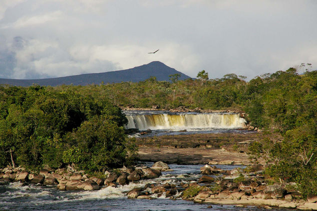 "Gran Sabana" 