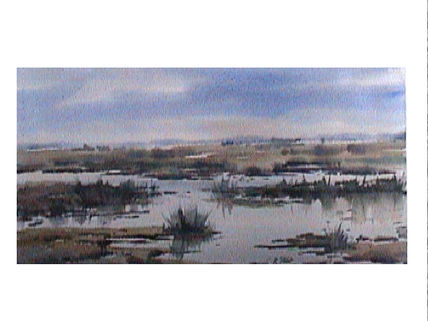 Vista de la ria