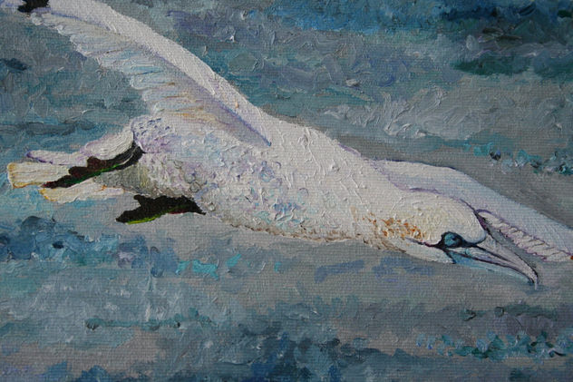Megan Mills Retrato(detalle)