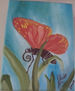 mariposa viviendo