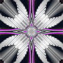 37
