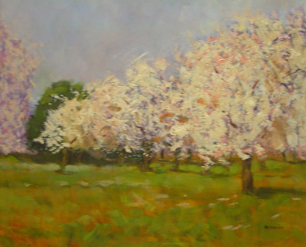 Almendros en flor