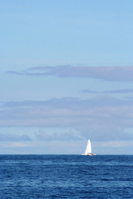 Azul Marino