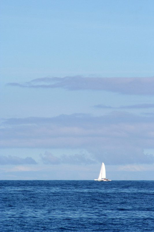 Azul Marino