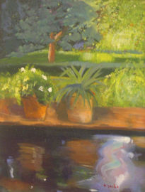 Macetas en  estanque