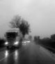 The rain