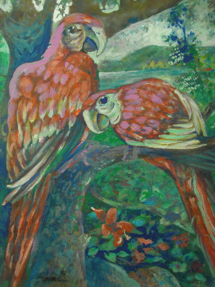 Aves de panama