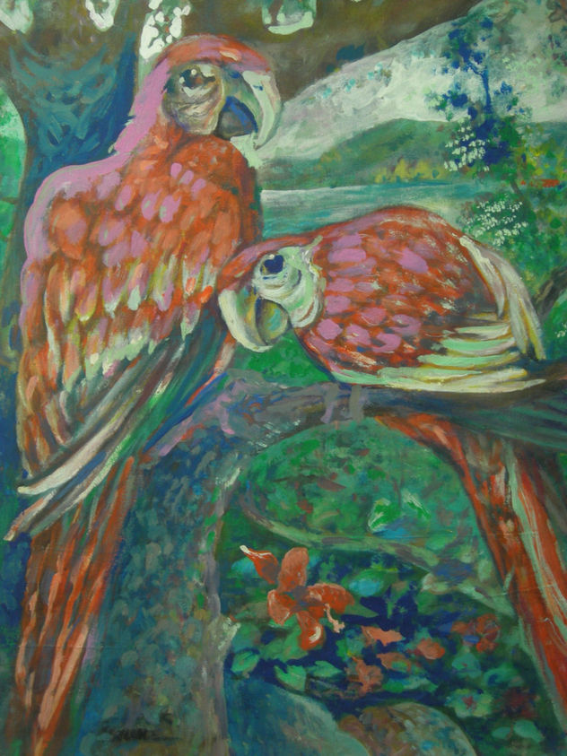 aves de panama