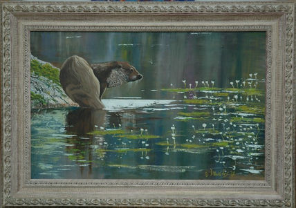 Nutria común...