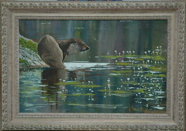 Nutria común  soleándose  (Lutra lutra)