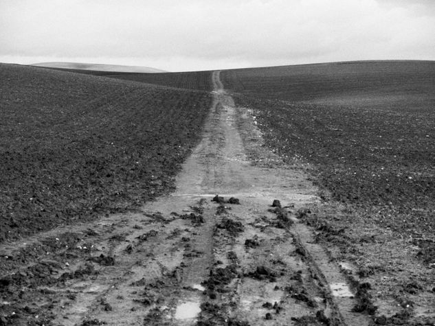 Camino de cabras Viajes Blanco y Negro (Digital)