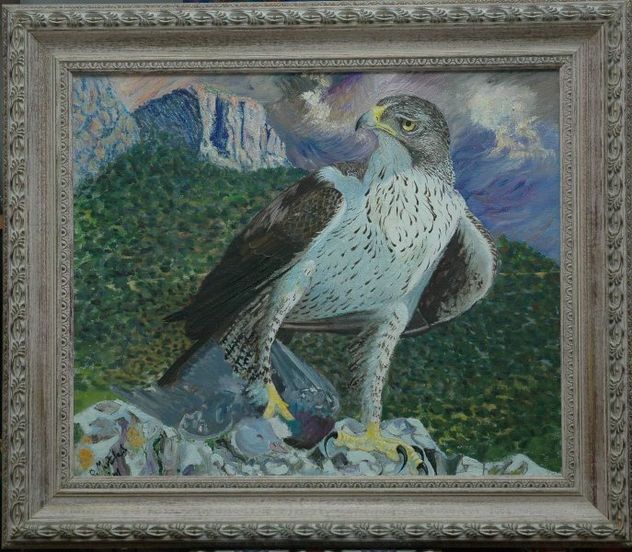 Aguila Perdicera  (Hieraaetus fasciatus)
