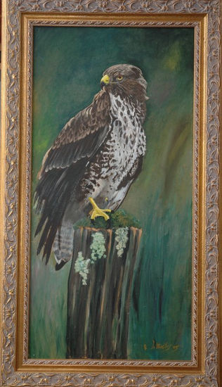 Ratonero Común  (Buteo buteo) Óleo Tabla Animales