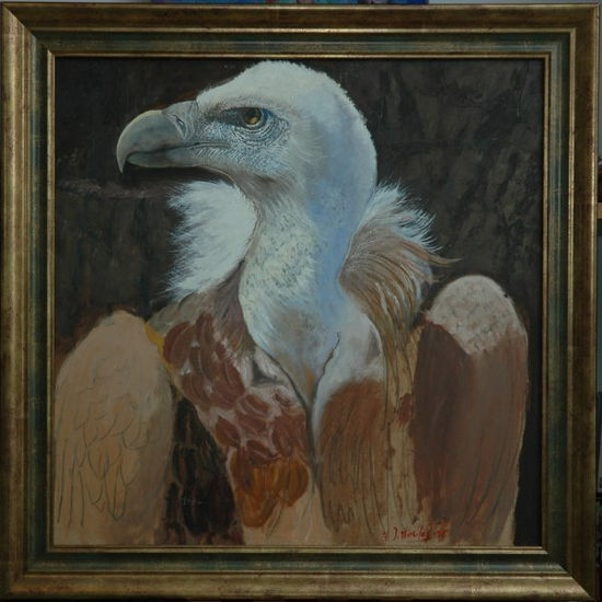 Retrato de buitre leonado (Gyps fulvus) Obra inconclusa Óleo Tabla Animales