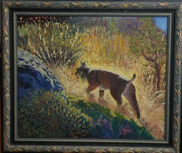 Lince Ibérico de cancaneo  (Lynx pardinus) Obra inconclusa
