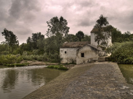 Oromana