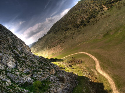 La Presa