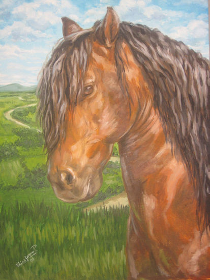 retrato de un caballo Oil Canvas Landscaping