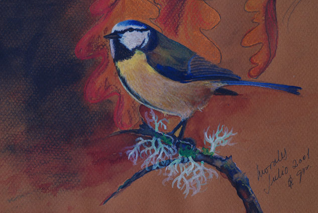 HERRERILLO  (Parus caeruleus) Oil Canvas Landscaping