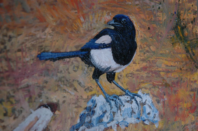 ¿molesto? Urraca  (Pica pica) Oil Canvas Landscaping