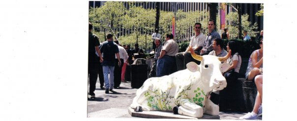 Las maravillosas VACAS ARTE NUEVA YORK VERANO 2000
