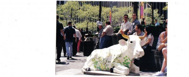 Las maravillosas VACAS ARTE NUEVA YORK VERANO 2000 