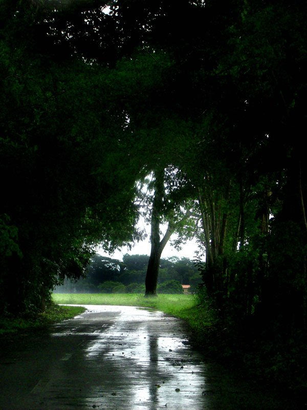 UMBRAL DEL SILENCIO