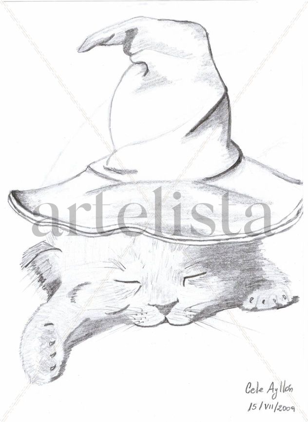 gatito