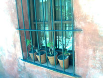 Mi ventana