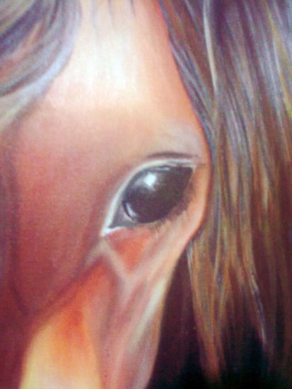 Mirada de Caballo Acrylic Canvas Animals