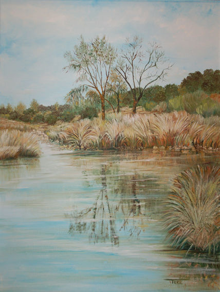 Rio manzanares