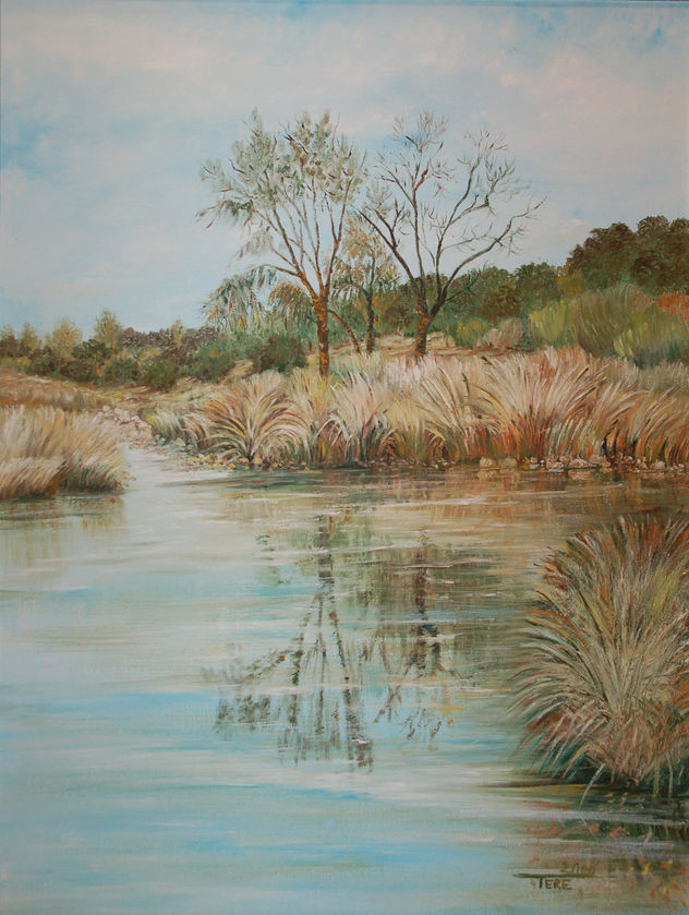 RIO MANZANARES