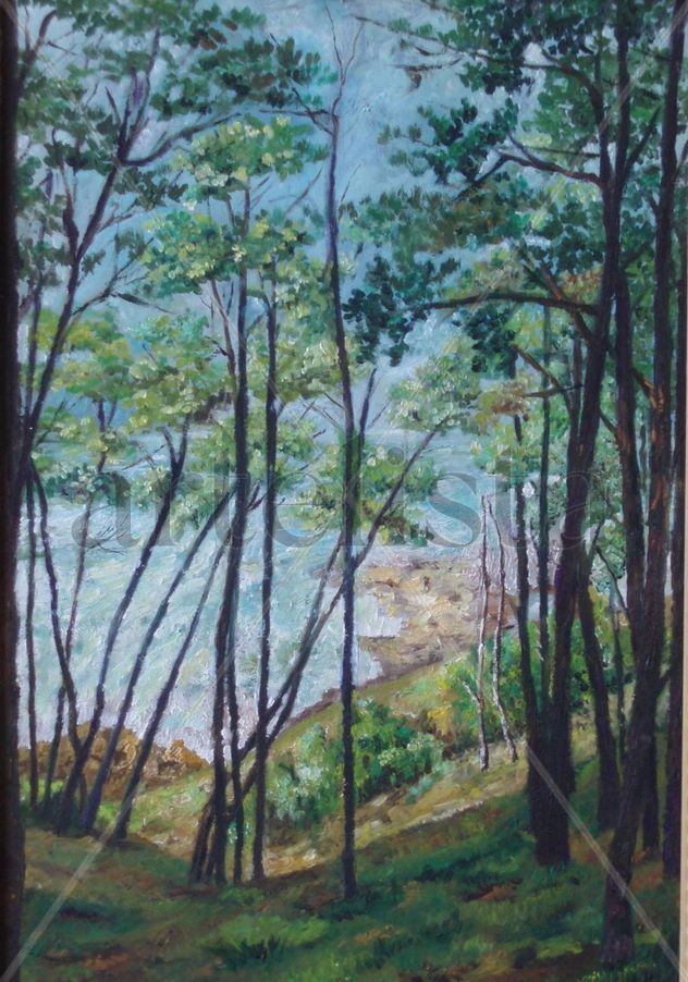 ISLAS CIES II