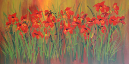 Campo flores rojas 3