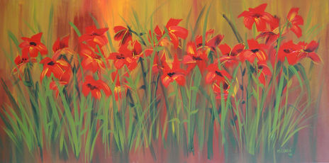 Campo flores rojas 3