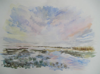 Laguna