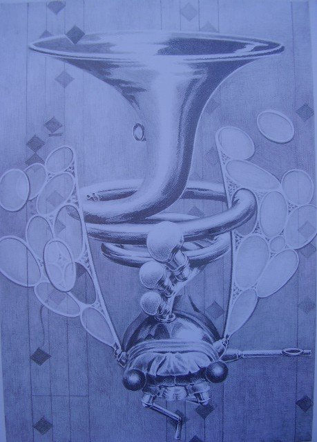 Insecto de Viento 2