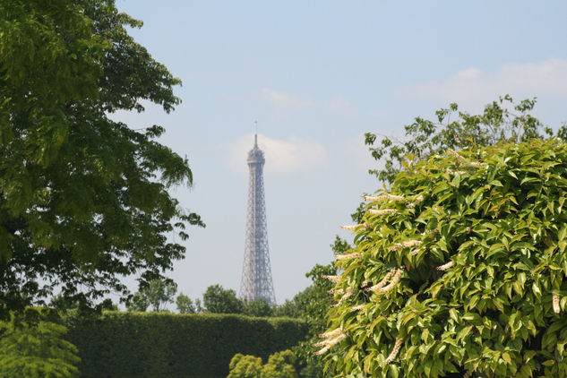 Tour Eiffel 