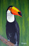 Tucan