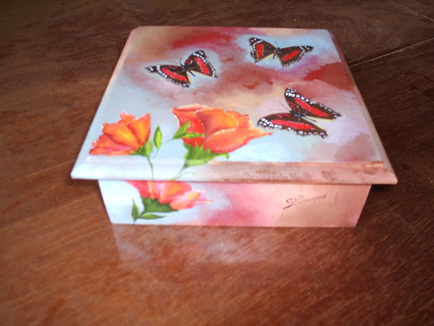 mariposas de Misiones 2