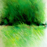 PAISAJE thumbnail 1
