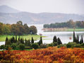 Otoño en el lago