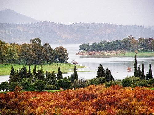 Otoño en el lago 