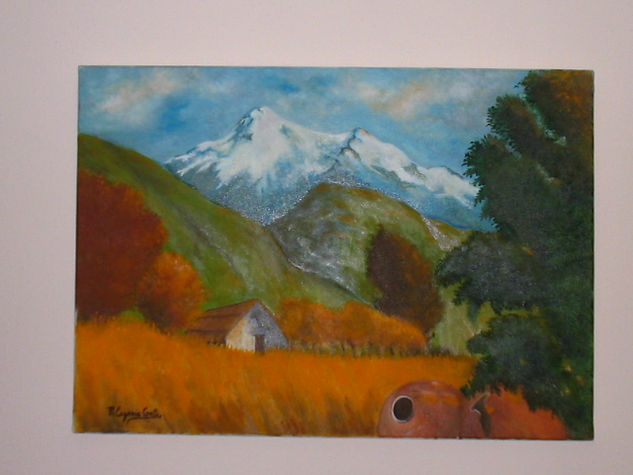 Paisaje de Campo Oil Canvas