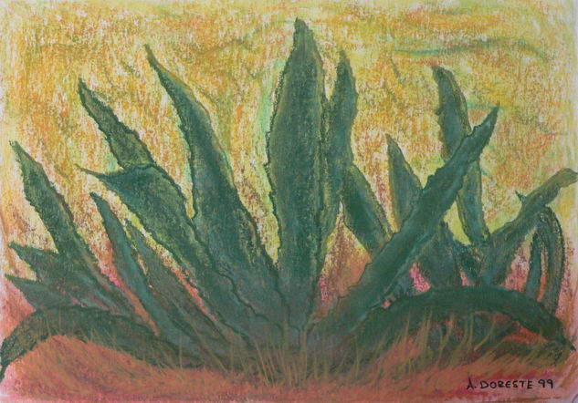 Pitas al sol Pastel Papel Floral