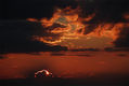 amanecer