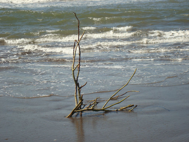 9 de la mañana en la playa 