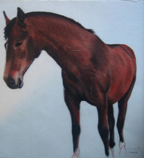 caballo Mixed Media