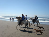 Cabalgata en la playa