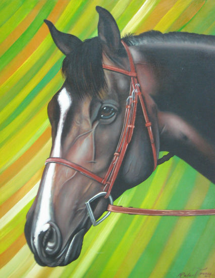 Retrato de caballo Acrylic Canvas Animals